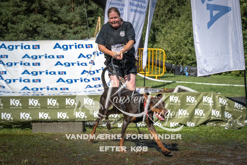 1629_ZZ90574 | kk-dogfotos