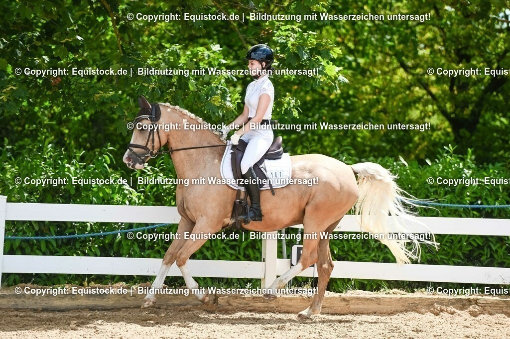 20230715_09_Dressur-WB_0499 | equistock