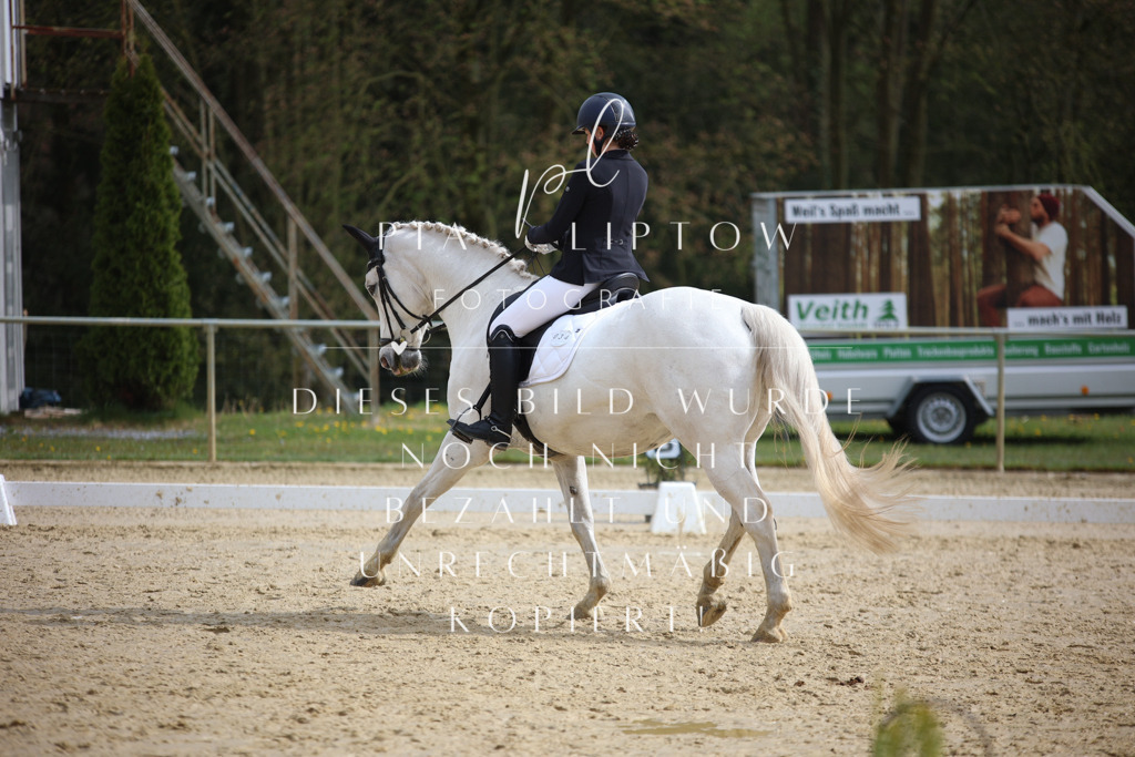 IMGT5452 | pl-fotografie