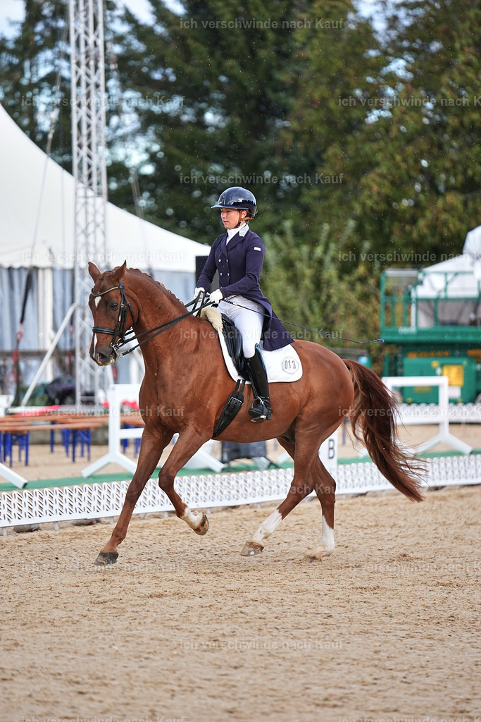 10-113-ST.GEORG SPECIAL -Marixx-3317 | working equitationturnier fotograf videograf stoibphotography marixx film working equitation deutschland reitsport turnierfotografie eventfotografie equestrian events