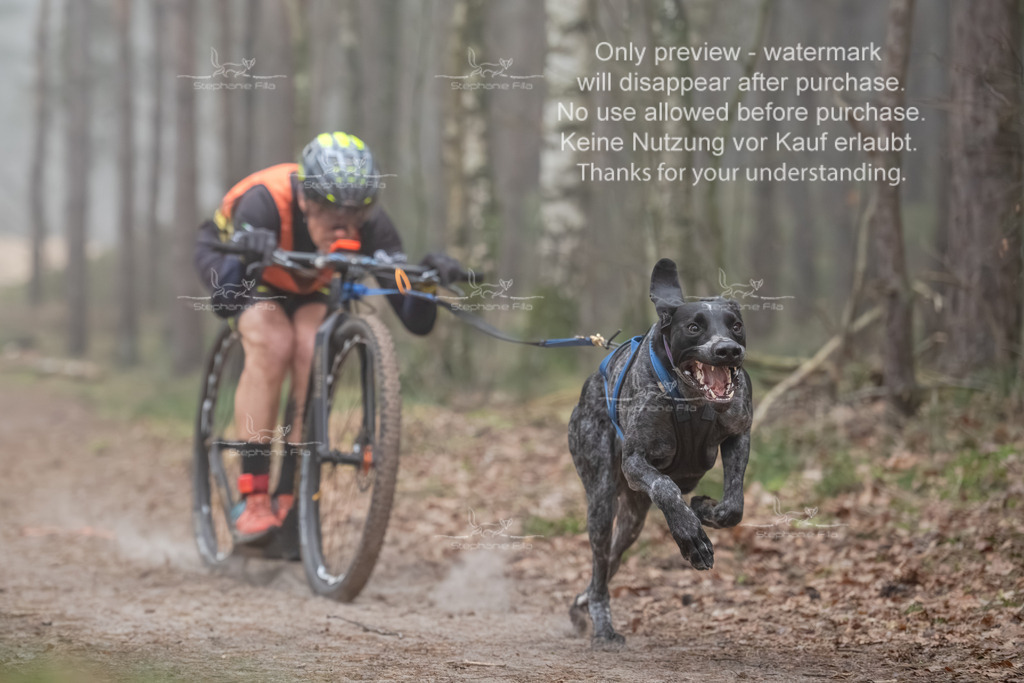 Scooter1-2 | stephaniefillaphotographie - Realisiert mit Pictrs.com