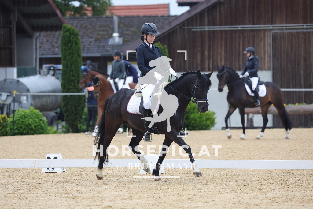 0P6A0627 | Willkommen bei Brunnmayr - Design & Fotografie – Ihrem Spezialisten für Reitturniere und Pferdeveranstaltungen in Oberösterreich, Salzburg und Bayern! Seit über 17 Jahren sind wir leidenschaftlich dabei.