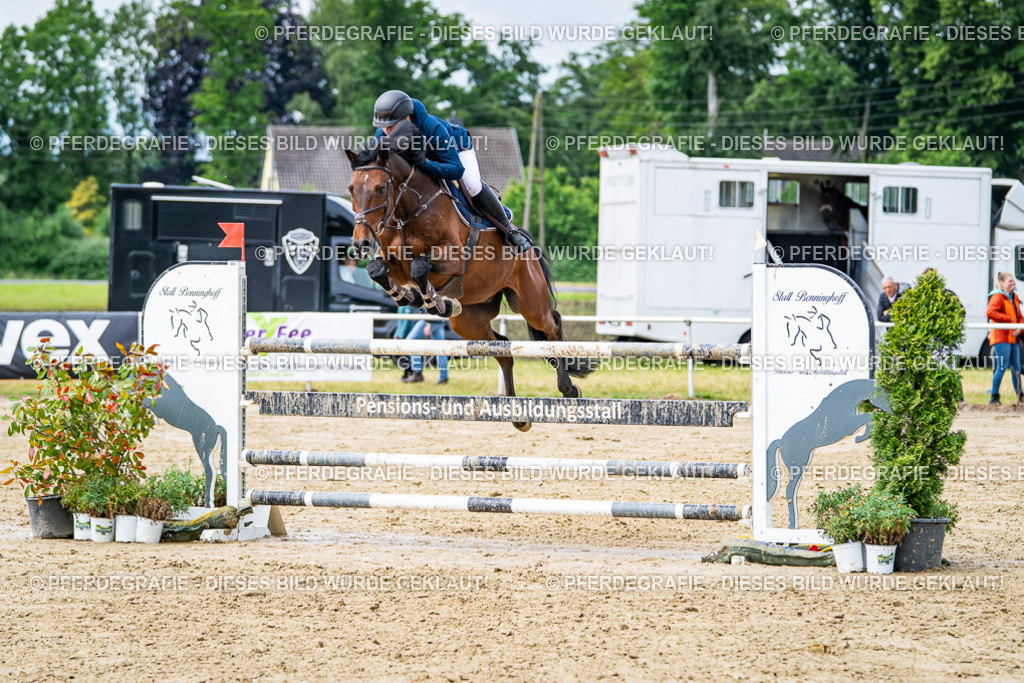 DSC04057 | Pferdegrafie