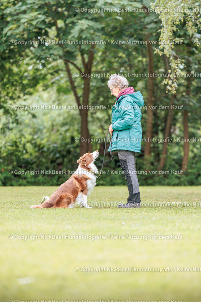 RO-Blumenthal-2026-Nickbest-Hundefotografie-5553 | Dein Hund! Dein Moment! Deine Erinnerungen! Hundefotografie in Bremen Blumenthal. Ich fange die besonderen Momente deines Vierbeiners ein – ob Indoor mit Blitzanlage oder in der freien Natur. Sicher dir dein Moment und dein Termin für eure Erinnerungen.