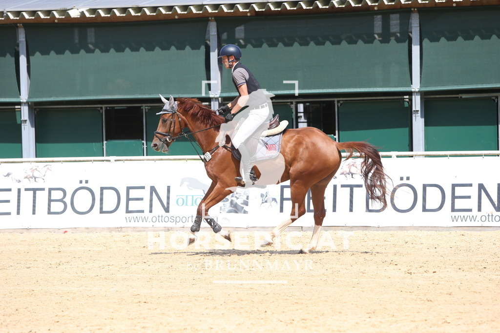 DL2Q0997 | Willkommen bei Brunnmayr - Design & Fotografie – Ihrem Spezialisten für Reitturniere und Pferdeveranstaltungen in Oberösterreich, Salzburg und Bayern! Seit über 17 Jahren sind wir leidenschaftlich dabei.