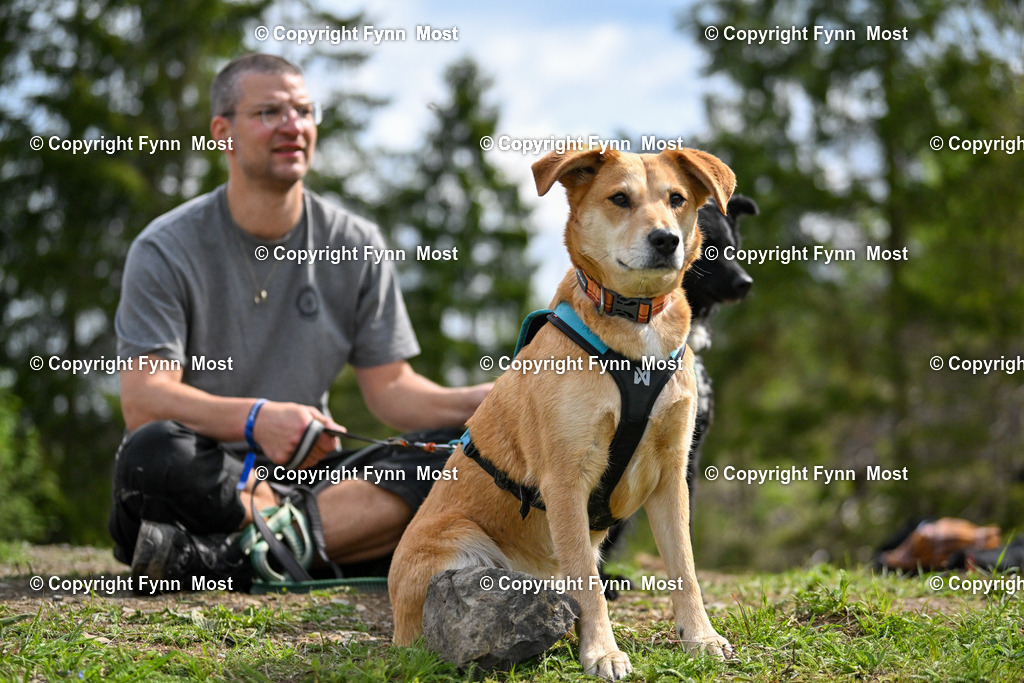 DSC_3758 | Hallo und herzlich Willkommen auf meiner Shop-Seite Fynn Most.

Ich wünsche Dir viel Spaß beim stöbern durch die Bilder, wenn Du Fragen hast oder Bilder vermisst, kannst du mir gerne eine Nachricht schreiben. - Realisiert mit Pictrs.com