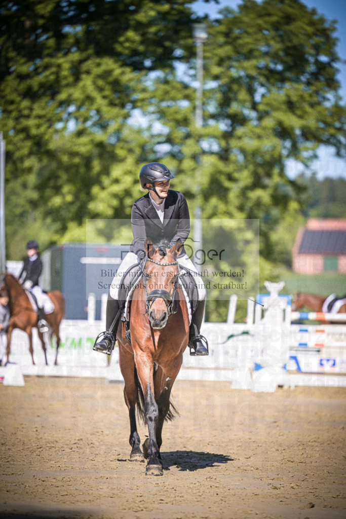 DOS_4215 | Entdecke hochwertige Reitturnierfotos von Foto Oger. Professionell, emotional und authentisch – jetzt Lieblingsmomente im Shop bestellen.Deutschlandweite Turnierfotografie. - Realisiert mit Pictrs.com