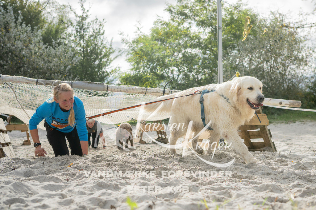 1203_ZZ90013 | kk-dogfotos