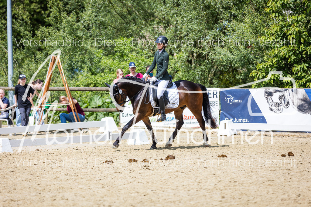 Donop24-EDre-035 | MomenTaufnahmen Pferdesportfotos