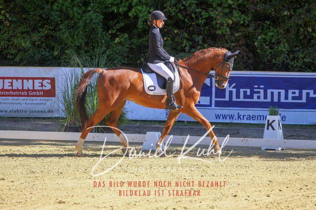 DKP41745 | Turniersportfotografie; Pferdefotografie; Dressurfotografie