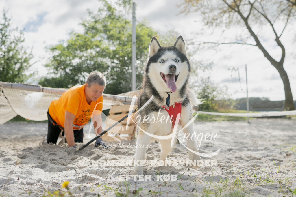 1328_ZZ97190 | kk-dogfotos