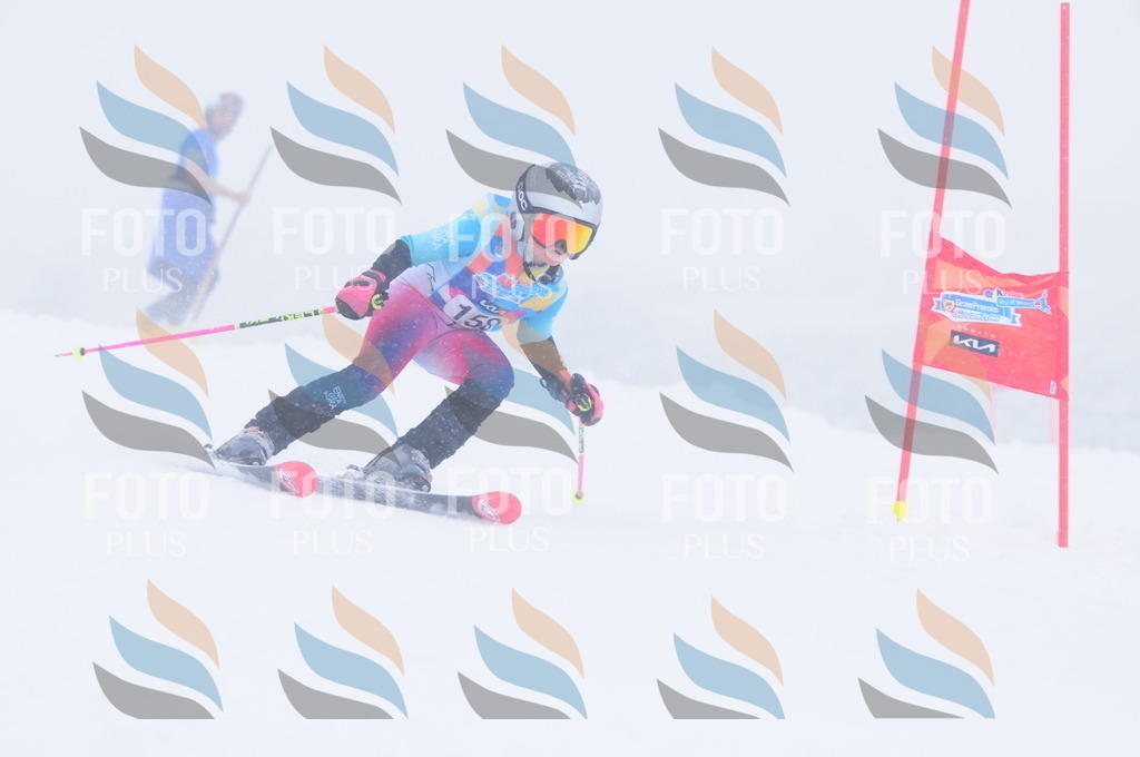 C1875 | holidayphoto