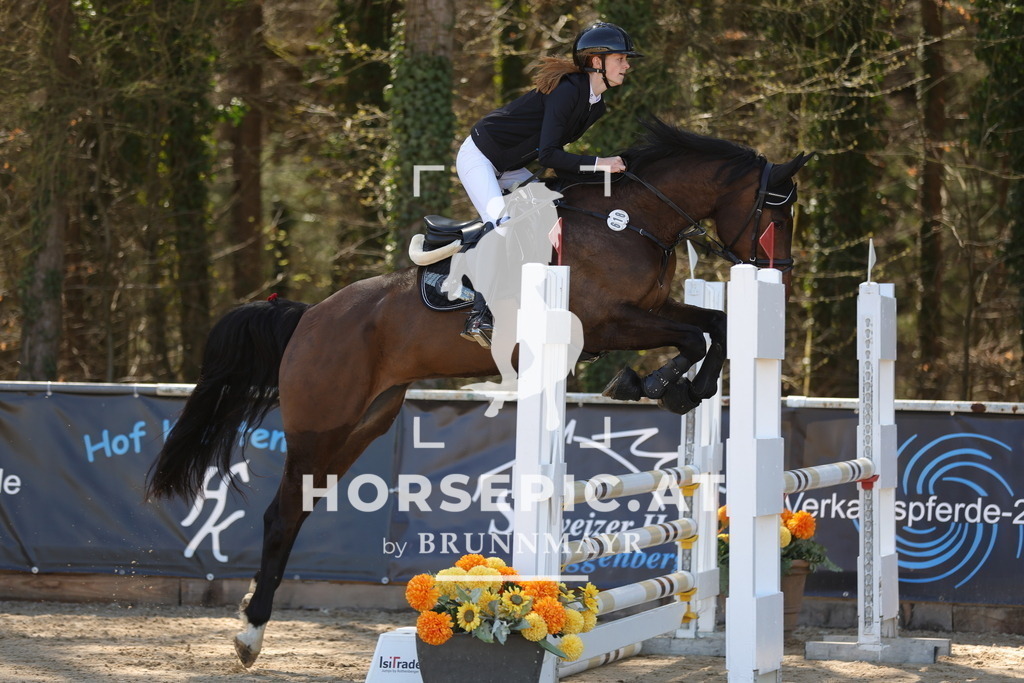 0P6A7830 | Willkommen bei Brunnmayr - Design & Fotografie – Ihrem Spezialisten für Reitturniere und Pferdeveranstaltungen in Oberösterreich, Salzburg und Bayern! Seit über 17 Jahren sind wir leidenschaftlich dabei.