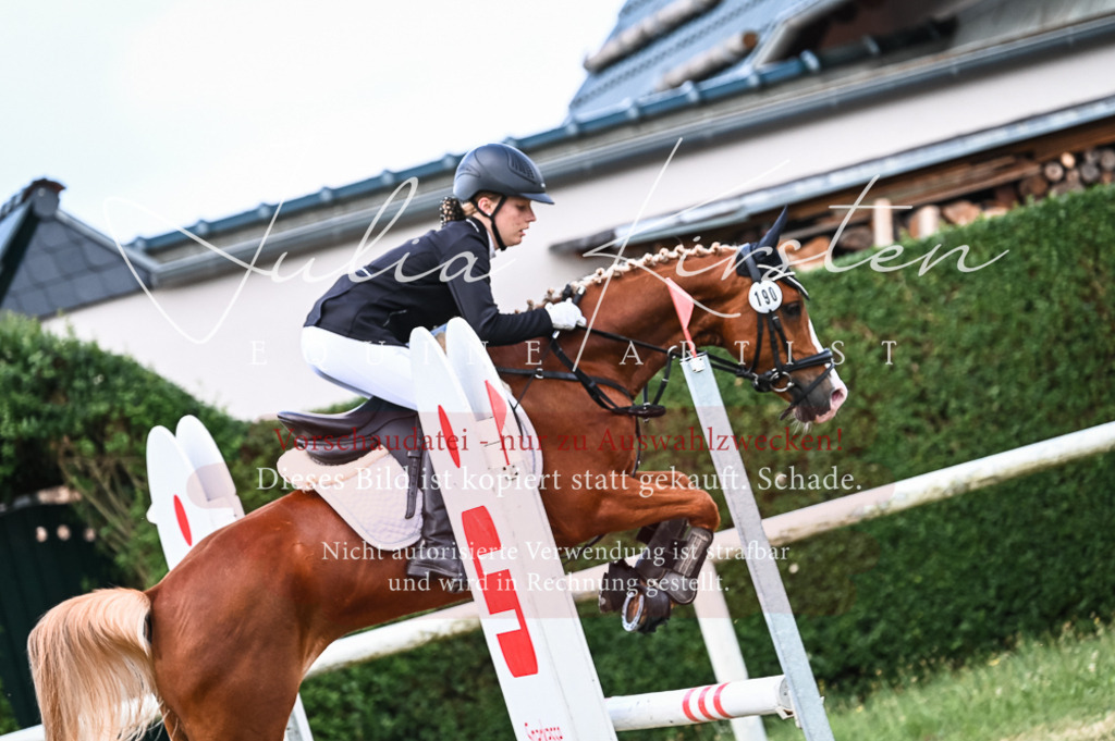 DSC_8094 | Pferde- und Turnierfotografie in Westsachsen. Pferdeportraits, Auftragszeichnungen und intuitive Kunst.