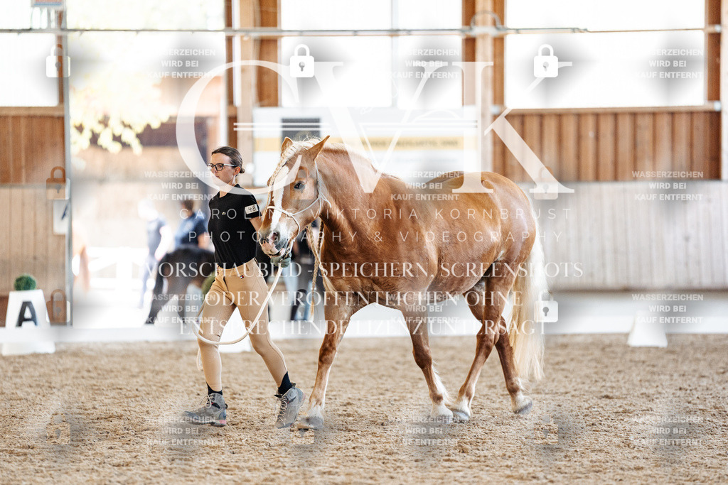 CK906698 | Turnierfotografie Pferdefotografie Trier Rheinland-Pfalz Pferdesport Reitsport Tierfotografie Sportfotografie Pferdevideo Pferdevideografie Equestrianvideography equestrianphotography  - Realisiert mit Pictrs.com