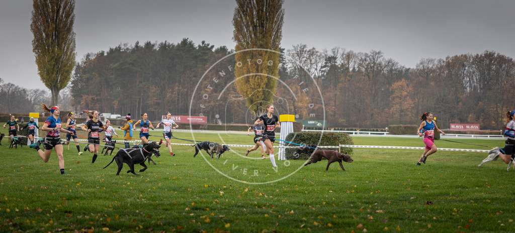 CaniXpix_DV3A8752 | Hundefotografie, Tierfotograf, Pfotenfotografie, Fotoshooting Hund, Hunde Portrait, Hundesport, Hundeportraits, Heideshooting, Hunde, Sportfotograf, Hundefotograf, Turnierhundsport, THS,  - Realisiert mit Pictrs.com