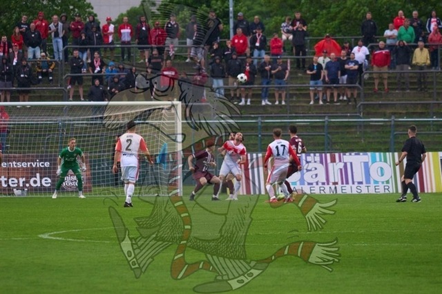 BFC Dynamo vs. Hallescher FC 036 | mythos-online-redaktion