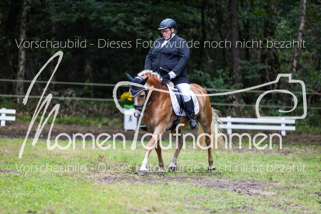 HB-A-Dressur-116 | MomenTaufnahmen Pferdesportfotos