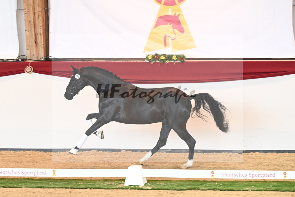 Kat.-Nr. 53 v. Fürst Belissaro_Casper_2240633 | hf-fotografie - Realisiert mit Pictrs.com