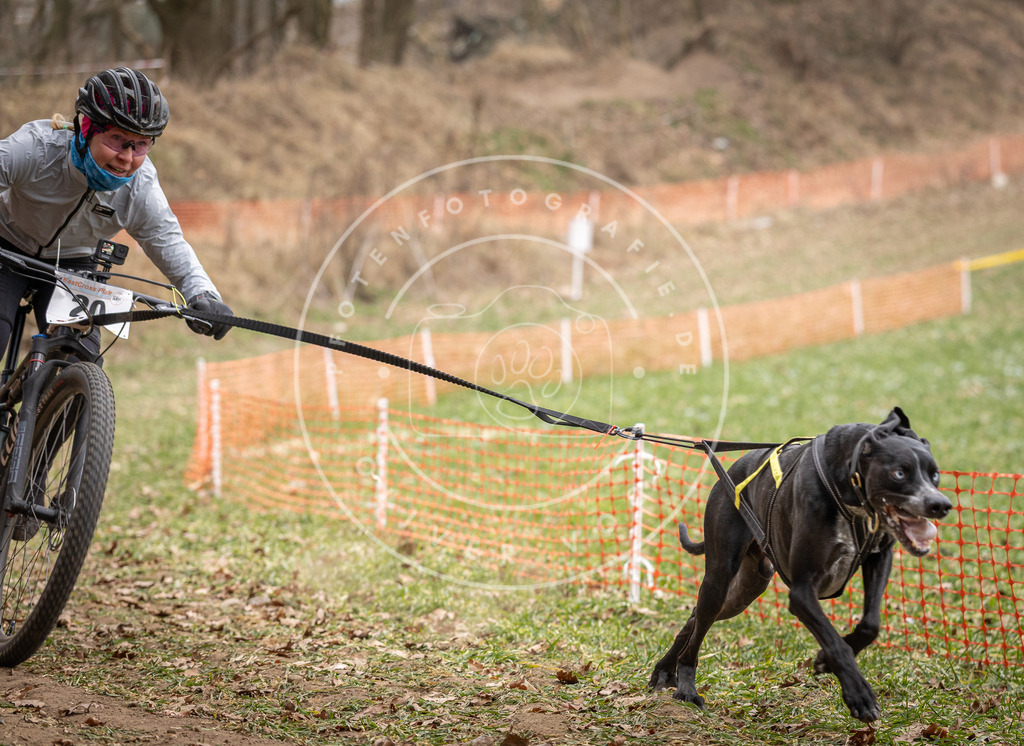 Pfotenfotografie_DV3A7173 | Hundefotografie, Tierfotograf, Pfotenfotografie, Fotoshooting Hund, Hunde Portrait, Hundesport, Hundeportraits, Heideshooting, Hunde, Sportfotograf, Hundefotograf, Turnierhundsport, THS,  - Realisiert mit Pictrs.com