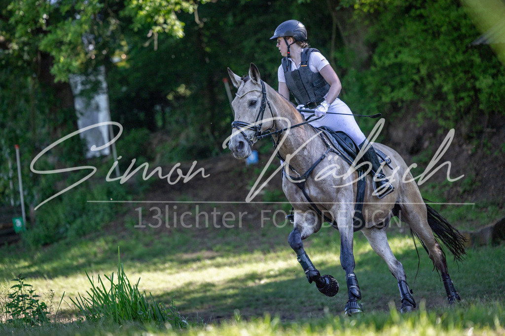 20260523-_3LI6630 | Tierfotografie Pferde, Hunde, Katzen, Haustiere.
Turnierfotografie Reitturniere, Reiten, Springreiten, Dressur in Hanau, dem Main-Kinzig-Kreis und dem Rhein-Main- Gebiet um Frankfurt
