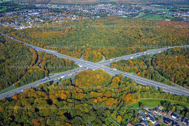 Oberhausen221003395BAB_Kreuz_A3_A2 | Luftbild, Autobahnkreuz Oberhausen, Autobahn A3 und Autobahn A2, Herbstwald, Alsfeld, Oberhausen, Ruhrgebiet, Nordrhein-Westfalen, Deutschland