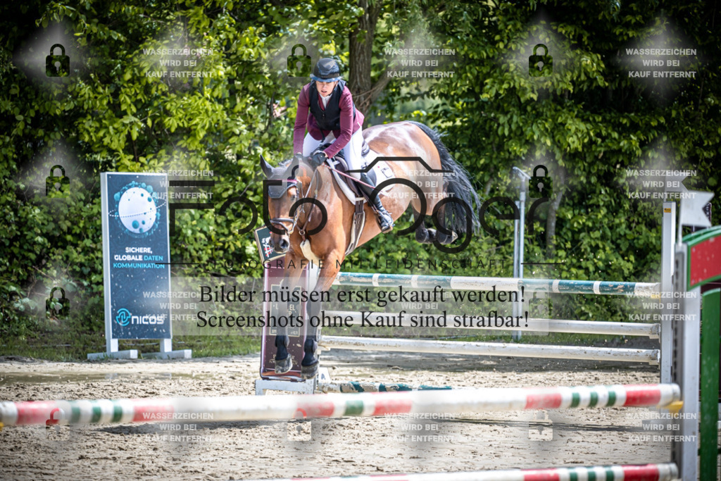 DOS_1728 | Reitturnier Lüdinghausen - Realisiert mit Pictrs.com