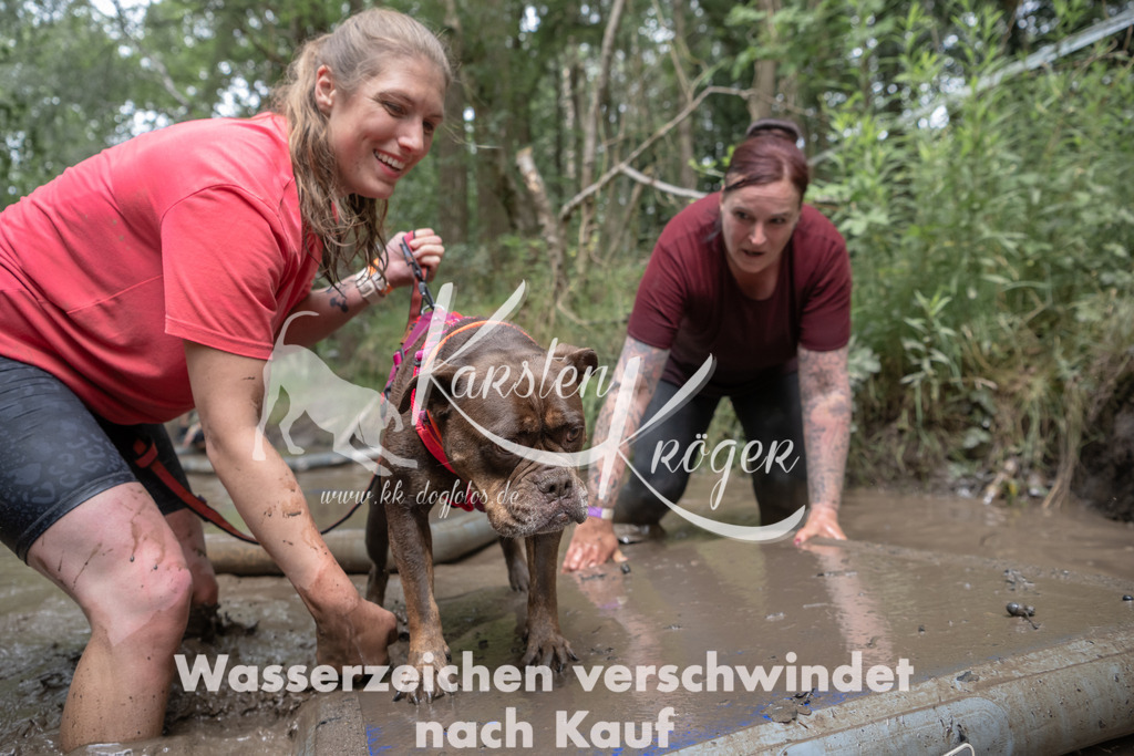 1334_ZZ94729 | kk-dogfotos