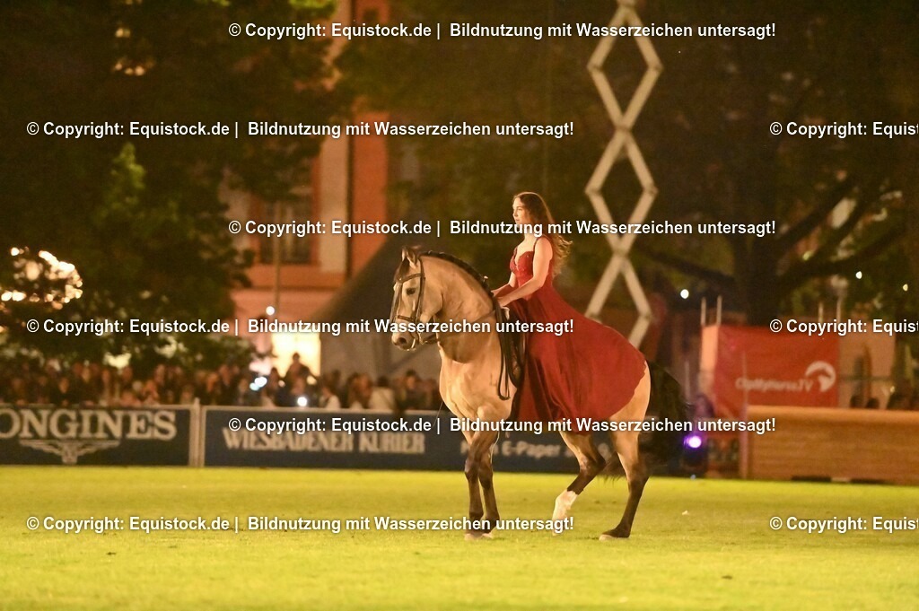 20230526_Pferdenacht_1385 | equistock