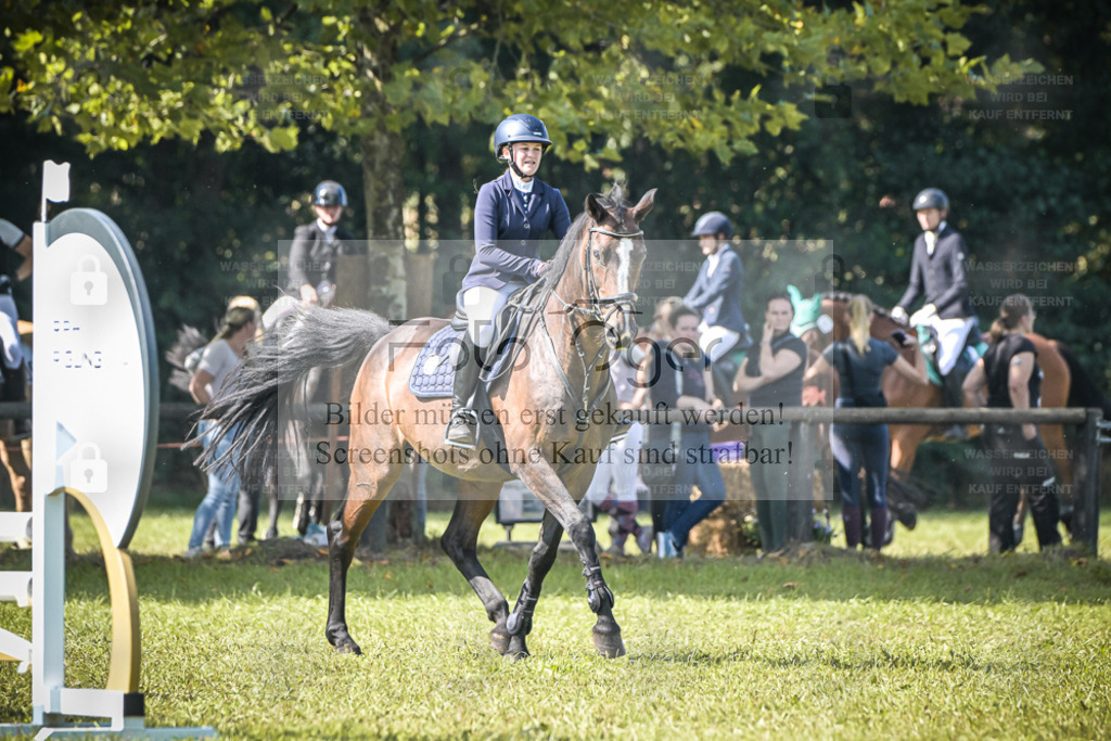 DOS_0018 | Entdecke hochwertige Reitturnierfotos von Foto Oger. Professionell, emotional und authentisch – jetzt Lieblingsmomente im Shop bestellen. - Realisiert mit Pictrs.com