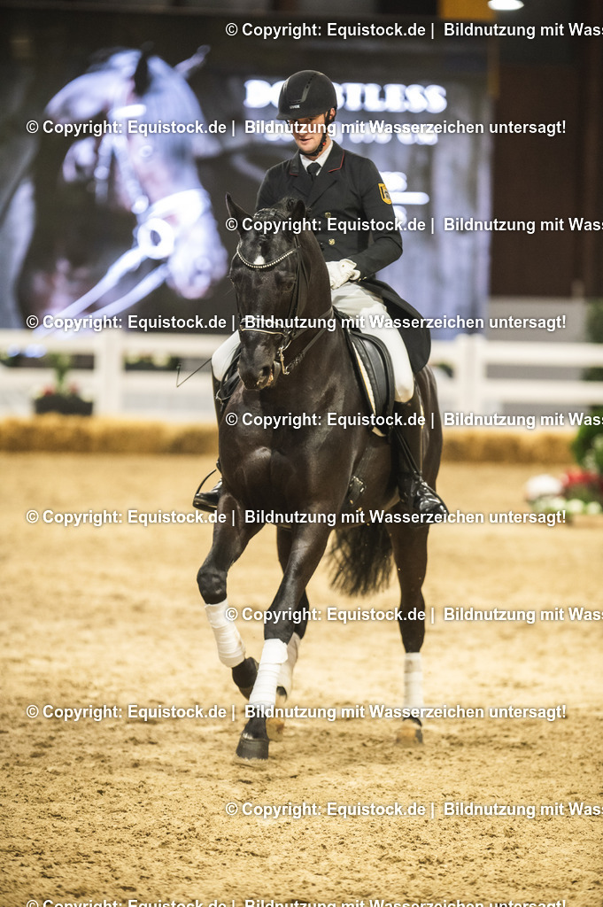 20240302_Hengstvorstellung_Marbach_TOMsPiC_1529 | equistock
