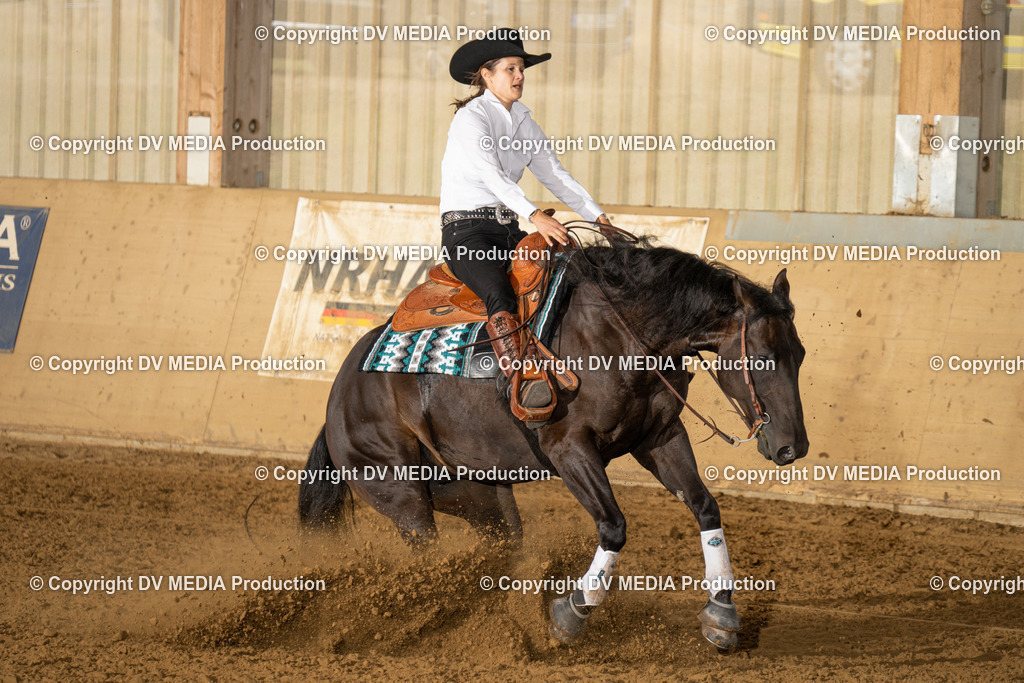 LAU01449 | dv-media-shop - Realisiert mit Pictrs.com