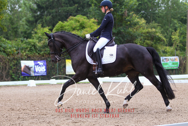 DKP40219 | Turniersportfotografie; Pferdefotografie; Dressurfotografie