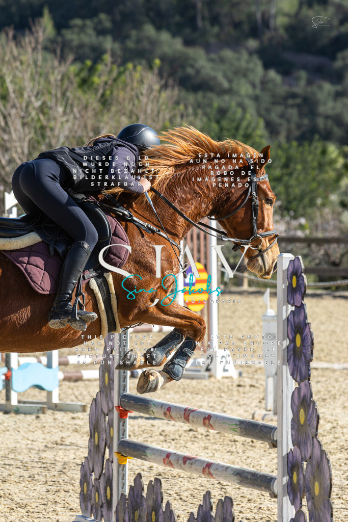 IMG_3951 | s-jay-photography - Realisiert mit Pictrs.com