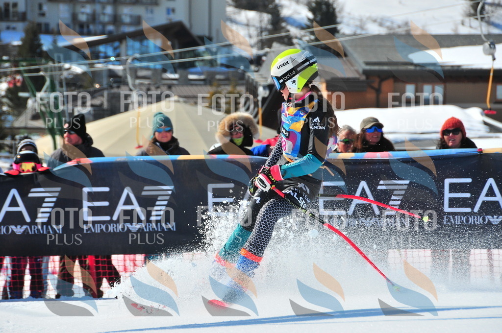 DSC_4479 | holidayphoto