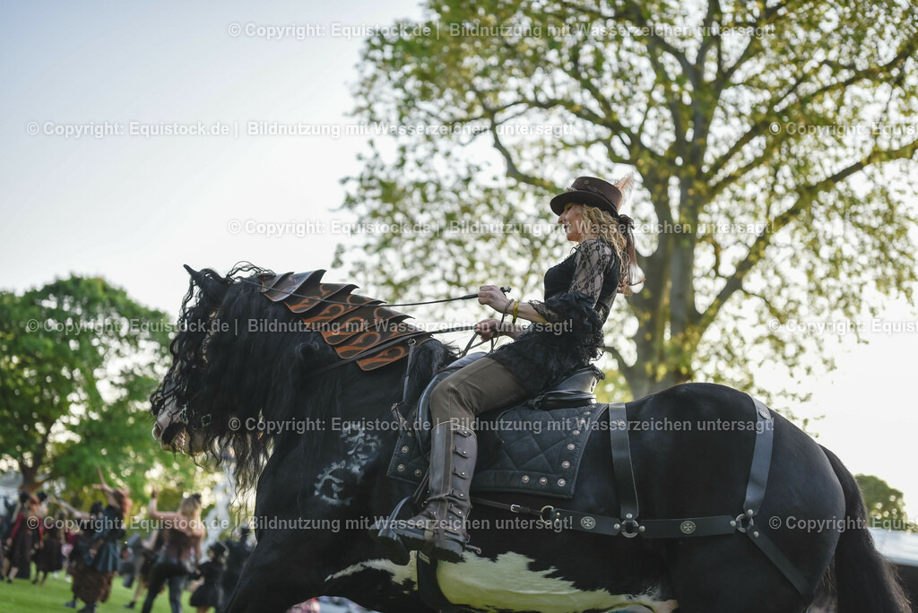 20230526_Pferdenacht_0294 | equistock