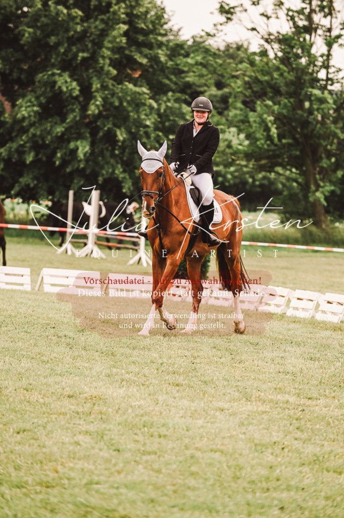 DSC_5056 | Pferde- und Turnierfotografie in Westsachsen. Pferdeportraits, Auftragszeichnungen und intuitive Kunst.
