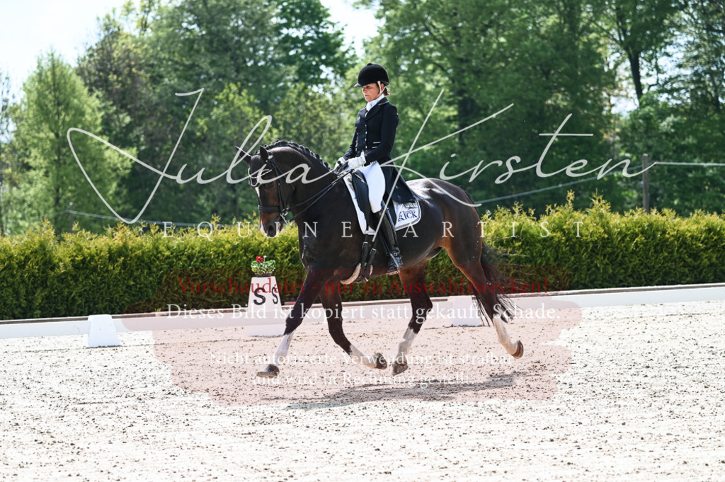 20230514_JK-Röhrsdorf-19-005 | Pferde- und Turnierfotografie in Westsachsen. Pferdeportraits, Auftragszeichnungen und intuitive Kunst.