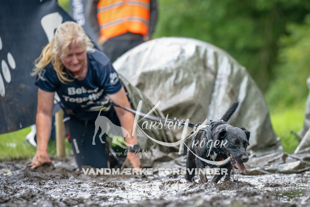 1138_ZZ93779-Bearbeitet | kk-dogfotos