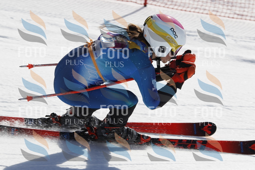 _U3G9763 | holidayphoto