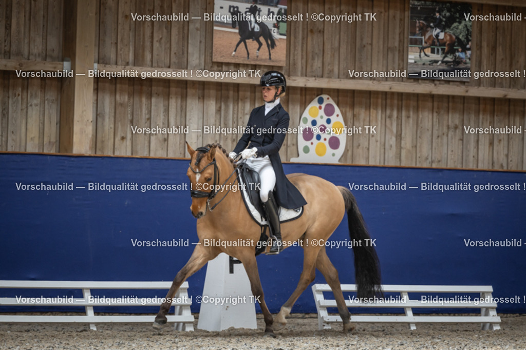 _D5A0242 | Emotionale Pferde- & People-Fotografie rund um Heidelberg, Leimen & Umgebung. Natürliche Fotos von Pferd, Mensch & Familie. Jetzt Termin sichern!