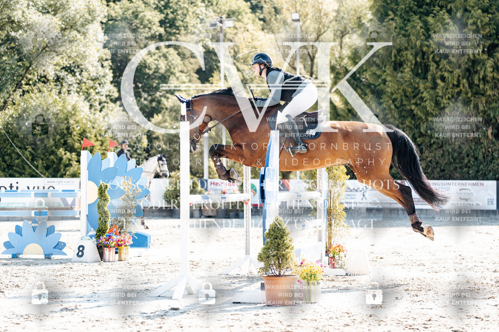 CK902335 | Turnierfotografie Pferdefotografie Trier Rheinland-Pfalz Pferdesport Reitsport Tierfotografie Sportfotografie Pferdevideo Pferdevideografie Equestrianvideography equestrianphotography  - Realisiert mit Pictrs.com