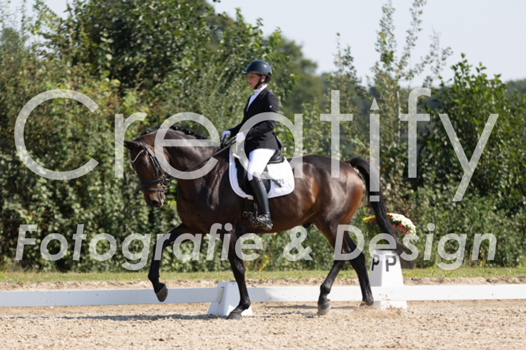 IMG_5204 | Creatify Fotografie