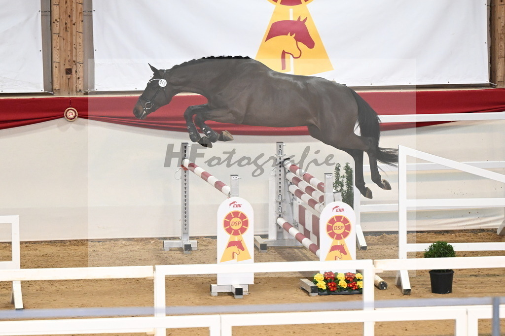 Kat.-Nr. 10 v. Conthargos_Jürgens_3261621 | hf-fotografie - Realisiert mit Pictrs.com