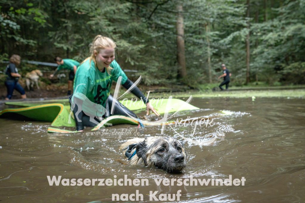 1510_ZZ94557-Bearbeitet | kk-dogfotos