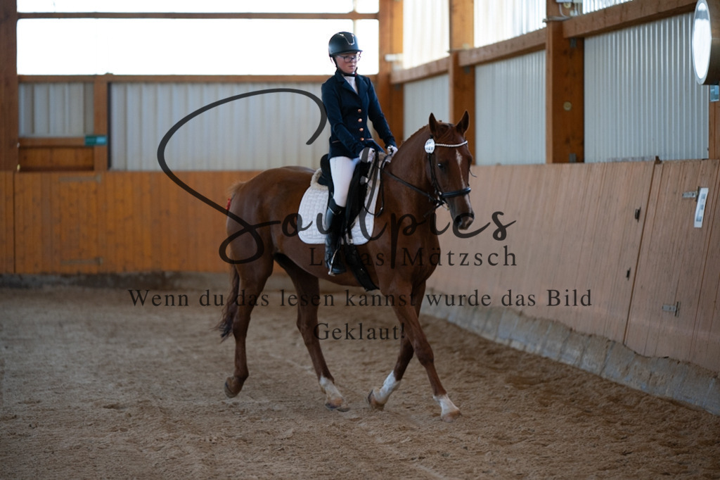 A7V01595 | Turnier/Reitfotograf