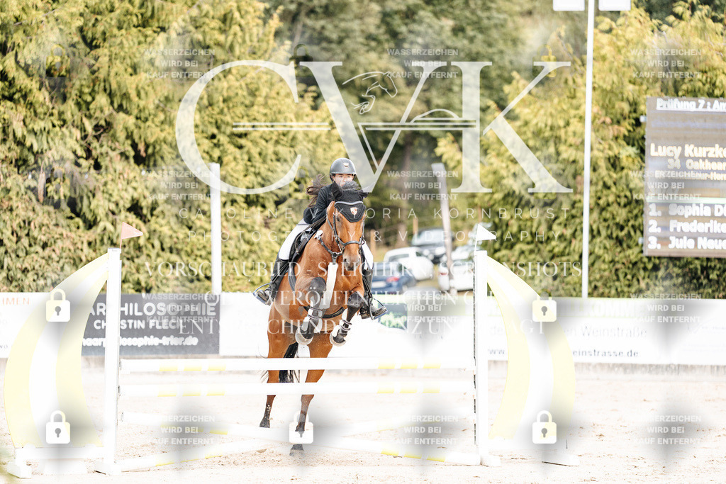 CK902794 | Turnierfotografie Pferdefotografie Trier Rheinland-Pfalz Pferdesport Reitsport Tierfotografie Sportfotografie Pferdevideo Pferdevideografie Equestrianvideography equestrianphotography  - Realisiert mit Pictrs.com