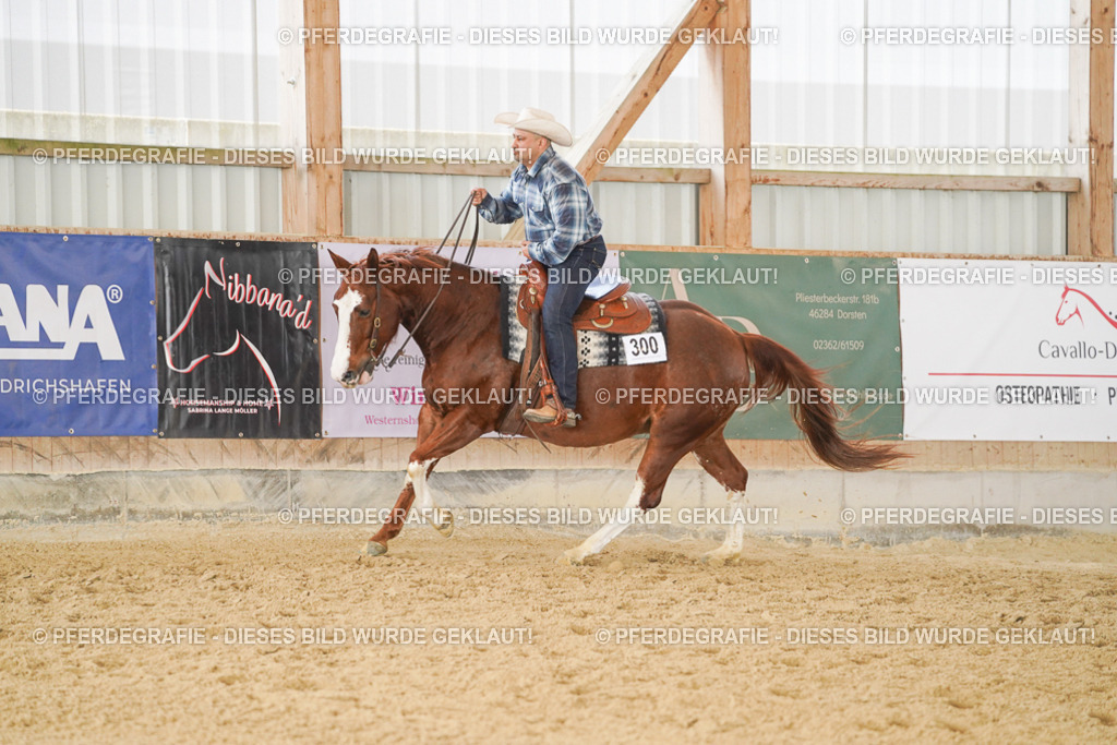 DSC01500 | Pferdegrafie