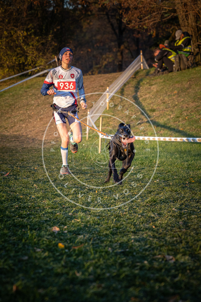 CaniXpix_0L8A1788 | Hundefotografie, Tierfotograf, Pfotenfotografie, Fotoshooting Hund, Hunde Portrait, Hundesport, Hundeportraits, Heideshooting, Hunde, Sportfotograf, Hundefotograf, Turnierhundsport, THS,  - Realisiert mit Pictrs.com