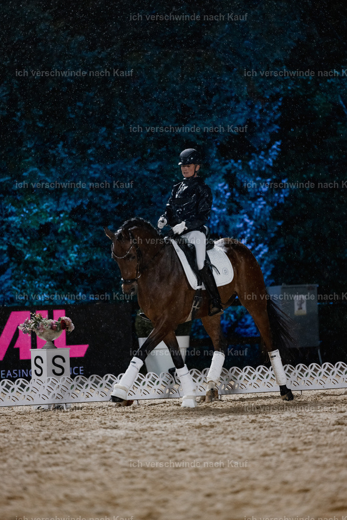 FHClassics-68 | working equitationturnier fotograf videograf stoibphotography marixx film working equitation deutschland reitsport turnierfotografie eventfotografie equestrian events